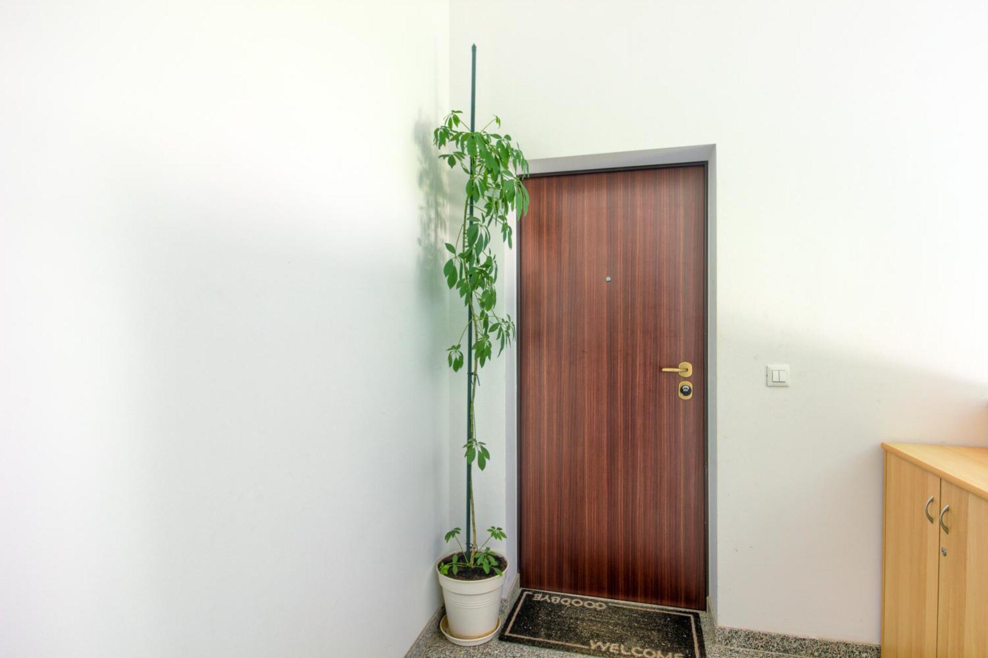 Apartments Zara Экстерьер фото
